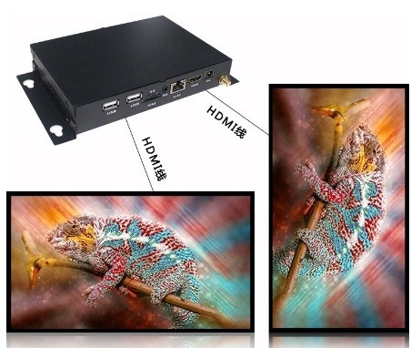 Controllo sincrono della carta 8~32GB HDMI Media Player di TF che scorre giocatore HDMI